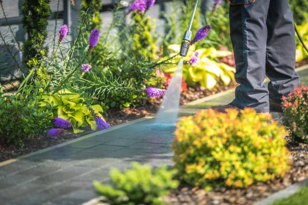 Best Sidewalk and Walkway Cleaning  in South Whitley, IN